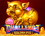 Feature Buy.Golden Pig